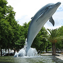 Дельфин фонтан